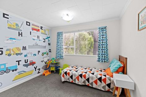 Photo of property in 105 Oxford Street, Ashhurst, 4810