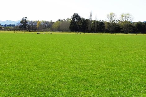 Photo of property in 62 Nonoti Road, Cheviot, 7383