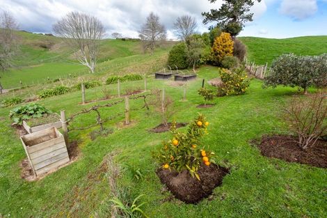 Photo of property in 323 Dukeson Road, Putaruru, 3481