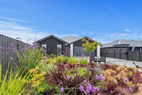 Photo of property in 17 Goldie Drive, Rangiora, 7400