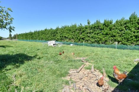 Photo of property in 133 Riverside Road, Okuku, Rangiora, 7473