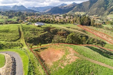 Photo of property in 78 Packtrack Road, Thames, 3577