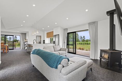 Photo of property in 569 Taonui Road, Colyton, Feilding, 4775