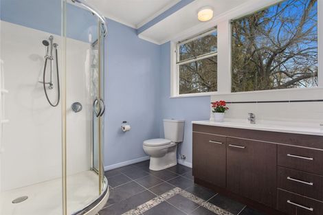 Photo of property in 674 White Pine Bush Road, White Pine Bush, Whakatane, 3191