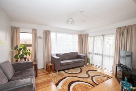 Photo of property in 33 Hayward Road, Ngatea, 3503