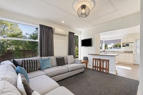 Photo of property in 80a Manson Street, Terrace End, Palmerston North, 4410