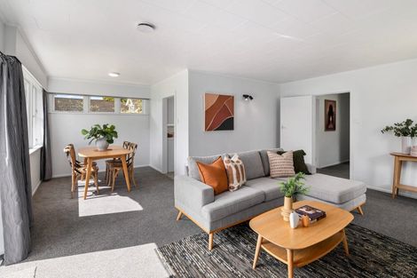 Photo of property in 59 Macarthur Street, Levin, 5510