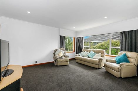 Photo of property in 19 Pagoda Street, Shirley, Christchurch, 8061