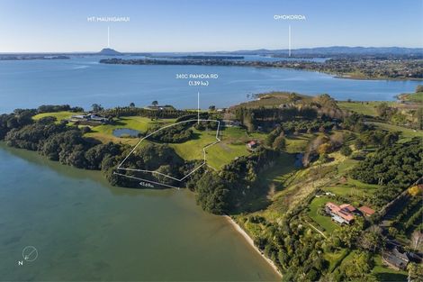 Photo of property in 333b Pahoia Road, Whakamarama, Tauranga, 3172
