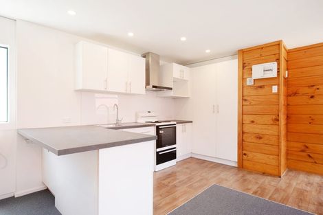 Photo of property in Te Awhina Apartments, 17/22 Sussex Street, Mount Cook, Wellington, 6021