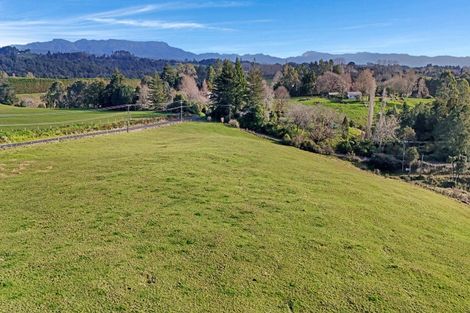 Photo of property in 20 Laurel Drive, Whakamarama, Tauranga, 3179