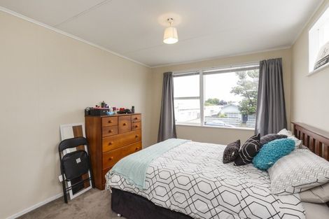 Photo of property in 151a Manchester Street, Feilding, 4702