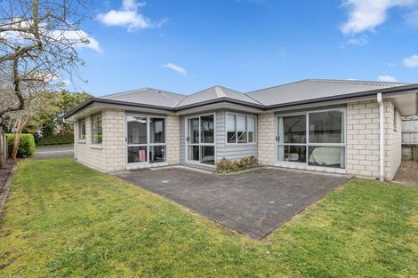 Photo of property in 245 Pukete Road, Pukete, Hamilton, 3200