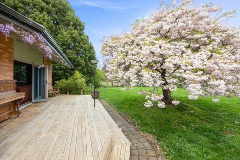 Photo of property in 170 Tirohanga Road, North Taieri, Mosgiel, 9092