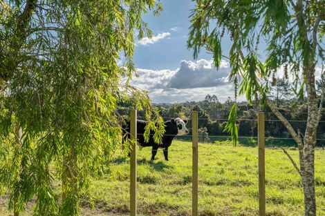 Photo of property in 274 Pigs Head Road, Whakapara, Hikurangi, 0184