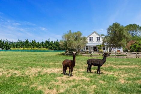 Photo of property in 2179 State Highway 16, Helensville, 0875