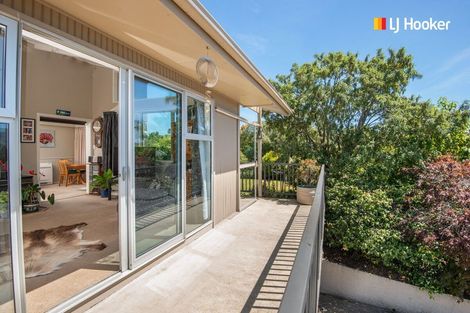 Photo of property in 10 Walton Park Avenue, Fairfield, Dunedin, 9018