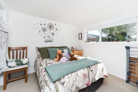 Photo of property in 269 Cambridge Avenue, Ashhurst, 4810