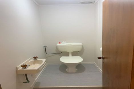 Photo of property in 223 Wright Road, Waiau Pa, Pukekohe, 2679