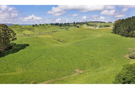 Photo of property in 80 State Highway 3, Piopio, 3970