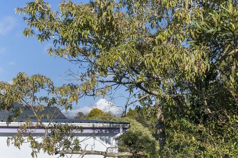 Photo of property in 19 Konini Street, Inglewood, 4330