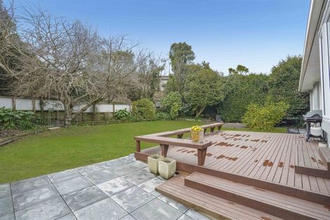 Photo of property in 14 Riverview Terrace, Fairfield, Hamilton, 3214