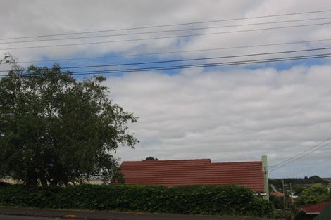 Photo of property in 455 Mount Albert Road, Mount Roskill, Auckland, 1041