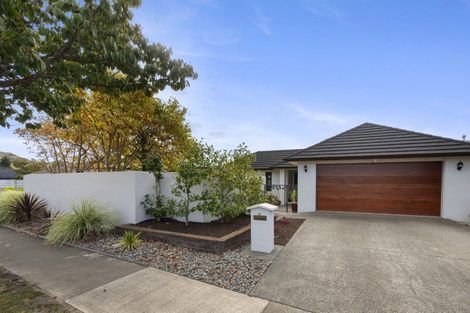 Photo of property in 15 Pinotage Drive, Greenmeadows, Napier, 4112