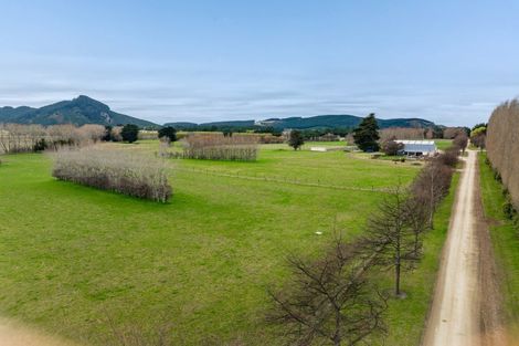 Photo of property in 53 Bushey Park Road, Bushey, Palmerston, 9482