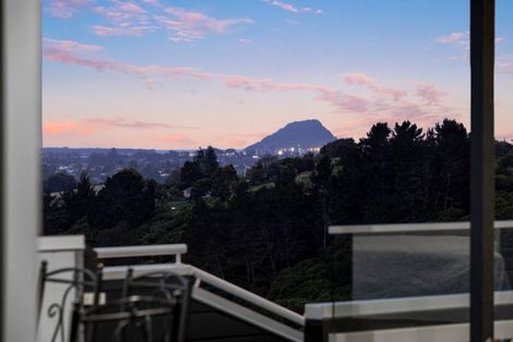 Photo of property in 60 Adler Drive, Ohauiti, Tauranga, 3112