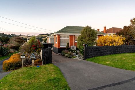 Photo of property in 43 Duckworth Street, Andersons Bay, Dunedin, 9013