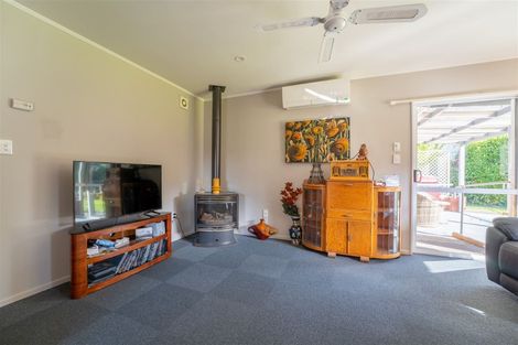 Photo of property in 45a Mckenzie Street, Geraldine, 7930