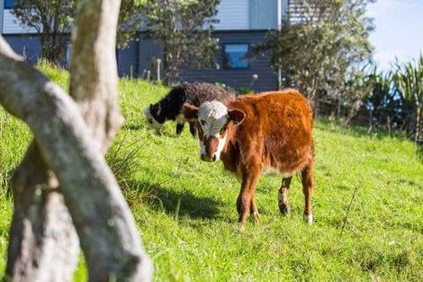 Photo of property in 18 Bennett Street, Port Albert, Wellsford, 0973