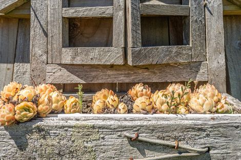 Photo of property in 63 Tawhero Street, Gonville, Whanganui, 4501