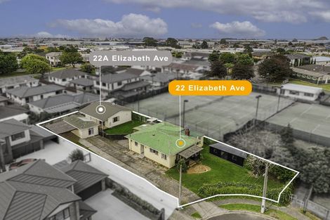 Photo of property in 22 Elizabeth Avenue, Papatoetoe, Auckland, 2025