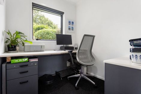 Photo of property in 14 Masons Avenue, Hamilton East, Hamilton, 3216