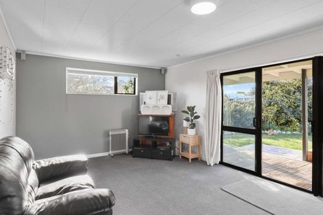Photo of property in 40 Lyndon Street, Waiau, 7332