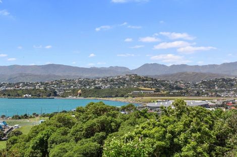 Photo of property in 25 Colville Street, Newtown, Wellington, 6021