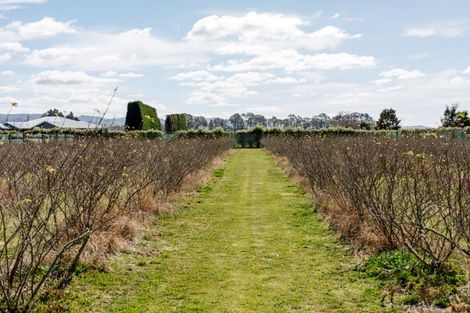 Photo of property in 36 Hogbin Road, Te Teko, Whakatane, 3193