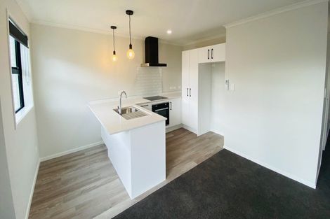 Photo of property in 2/5 Arawa Street, Frankton, Hamilton, 3204