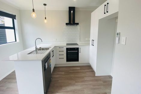 Photo of property in 2/5 Arawa Street, Frankton, Hamilton, 3204