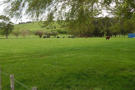 Photo of property in 421 Haringa Road, Carrington, Carterton, 5791