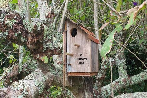 Photo of property in 138 Thames Coast Sh25 Road, Whakatete Bay, Thames, 3575