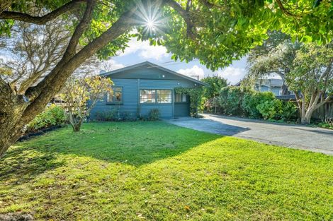 Photo of property in 53 Palmer Crescent, Silverstream, Upper Hutt, 5019