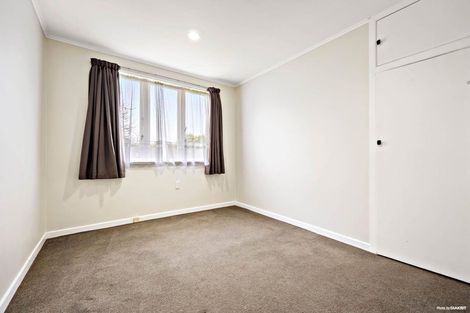 Photo of property in 58 Webster Avenue, Mount Roskill, Auckland, 1041