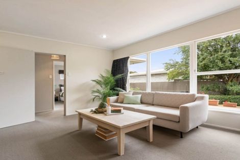 Photo of property in 169c Weld Street, Witherlea, Blenheim, 7201