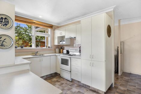 Photo of property in 47 Signal Hill Road, Opoho, Dunedin, 9010