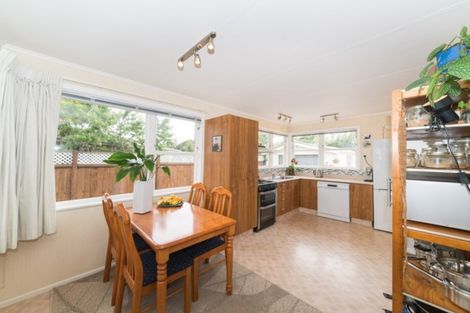 Photo of property in 42 Tararua Terrace, Cloverlea, Palmerston North, 4412