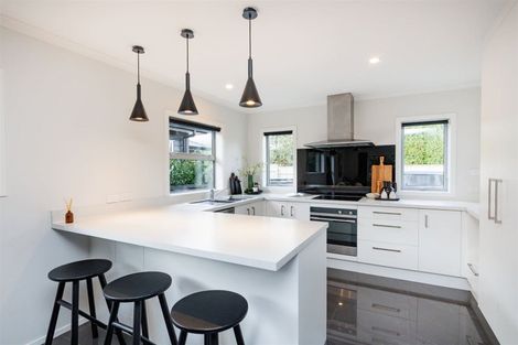 Photo of property in 83b Fitzroy Street, Terrace End, Palmerston North, 4410