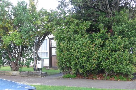 Photo of property in 28 Mere Mere Avenue, Palmerston North, 4414